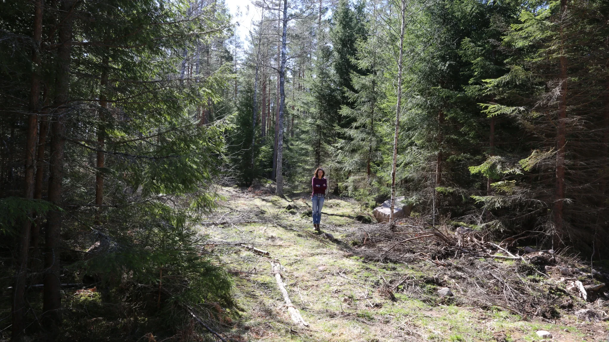 Searching for a site in the forest