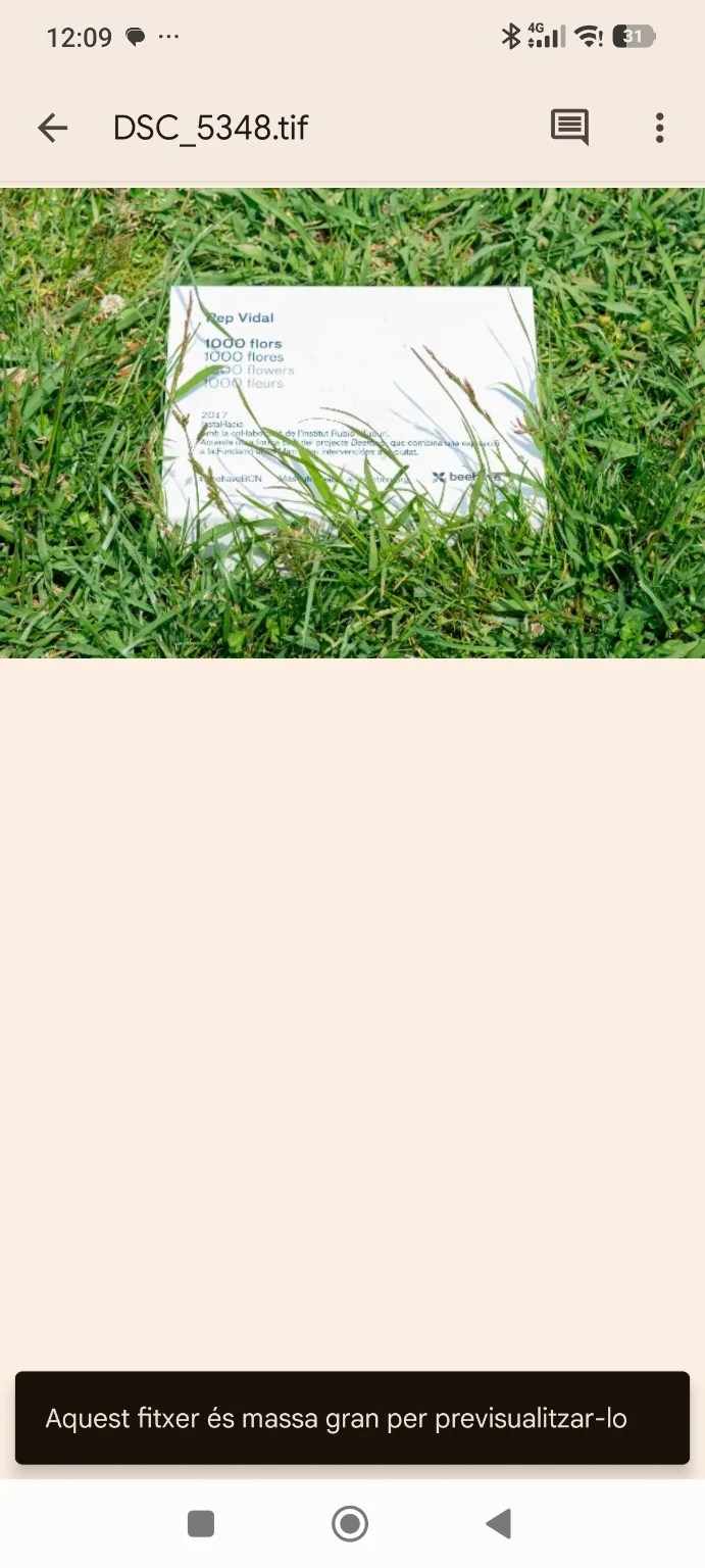 Project label.