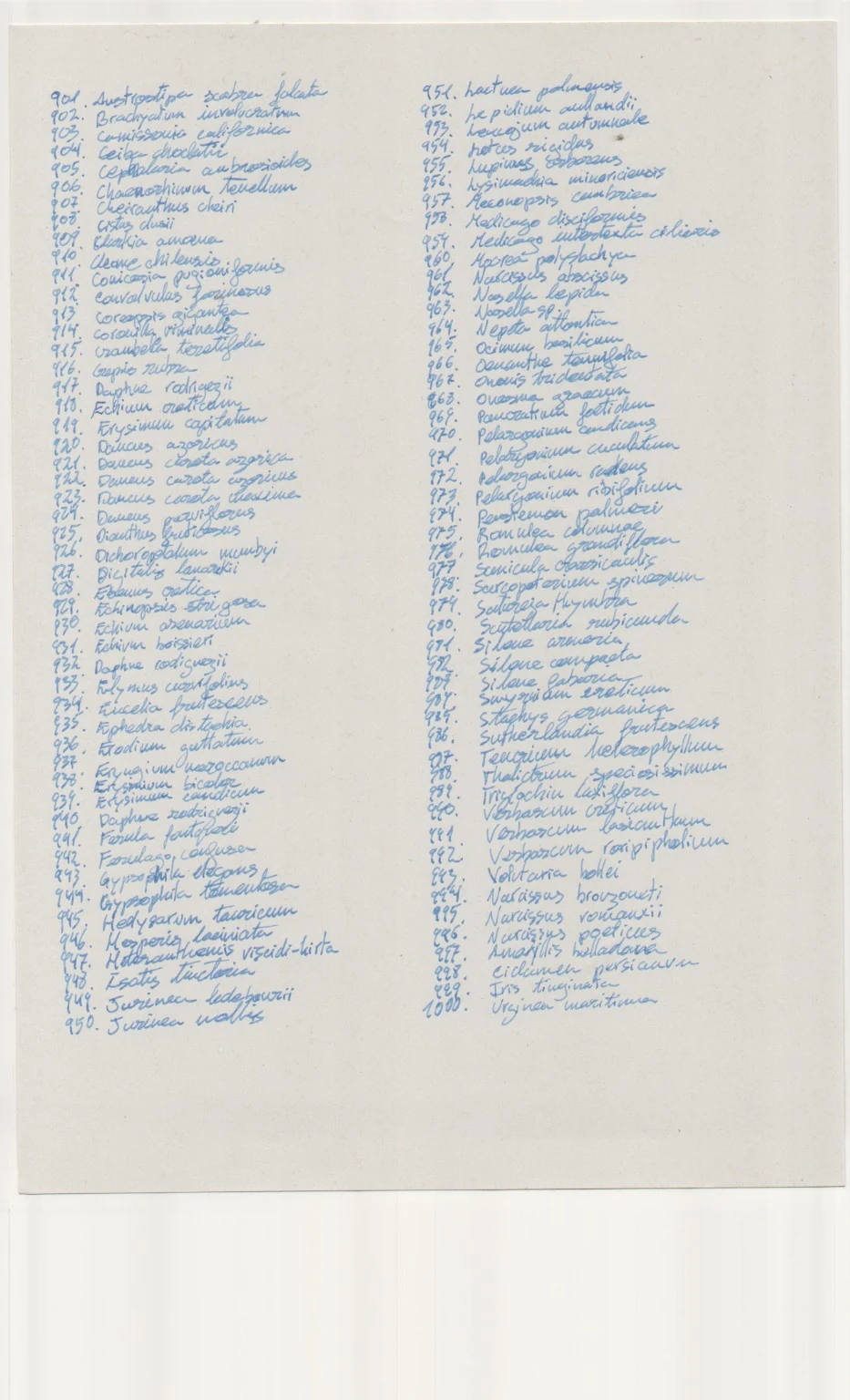 Handwritten plant list, 901–1000.