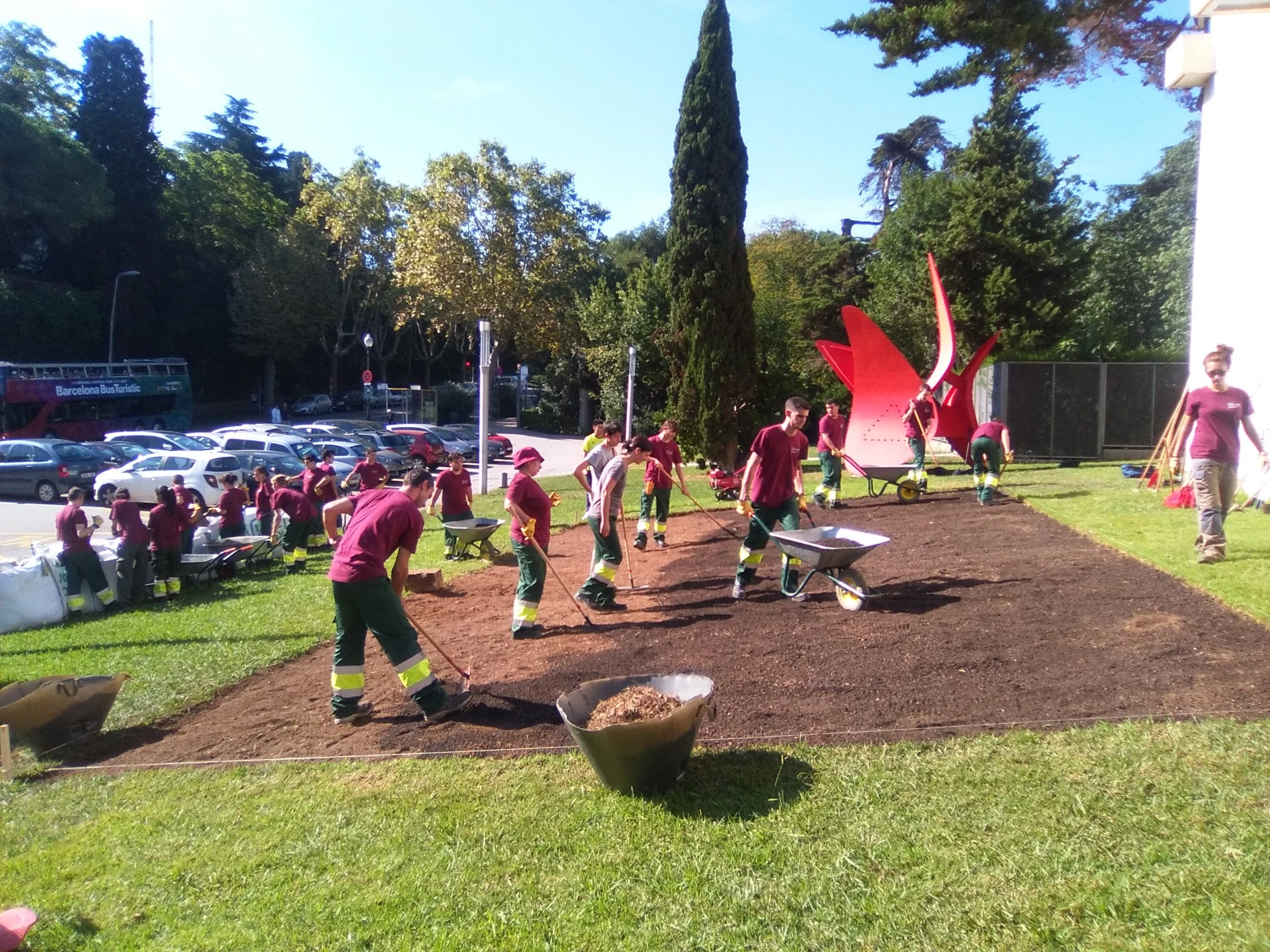 Preparing and sowing the plot.