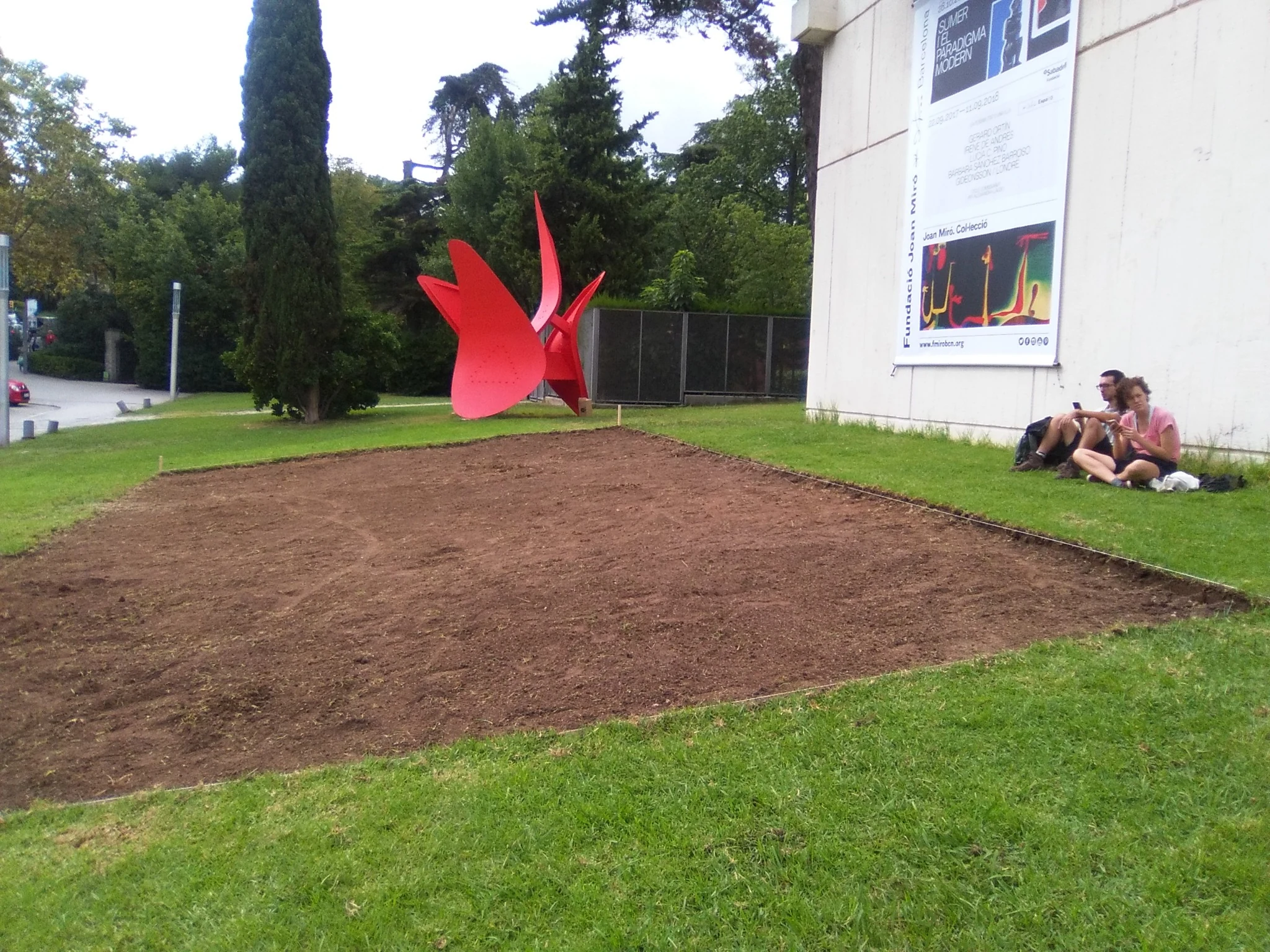 The plot after the grass was removed.