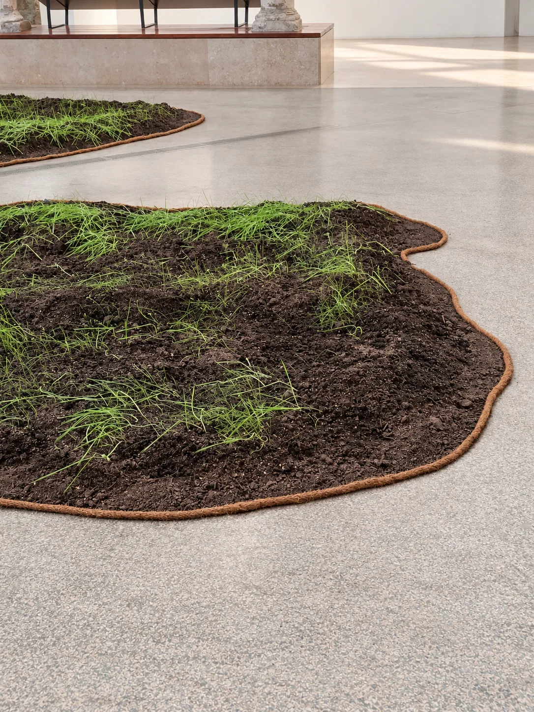 Planting detail in the exhibition space. Visualisation based on the documented installation.