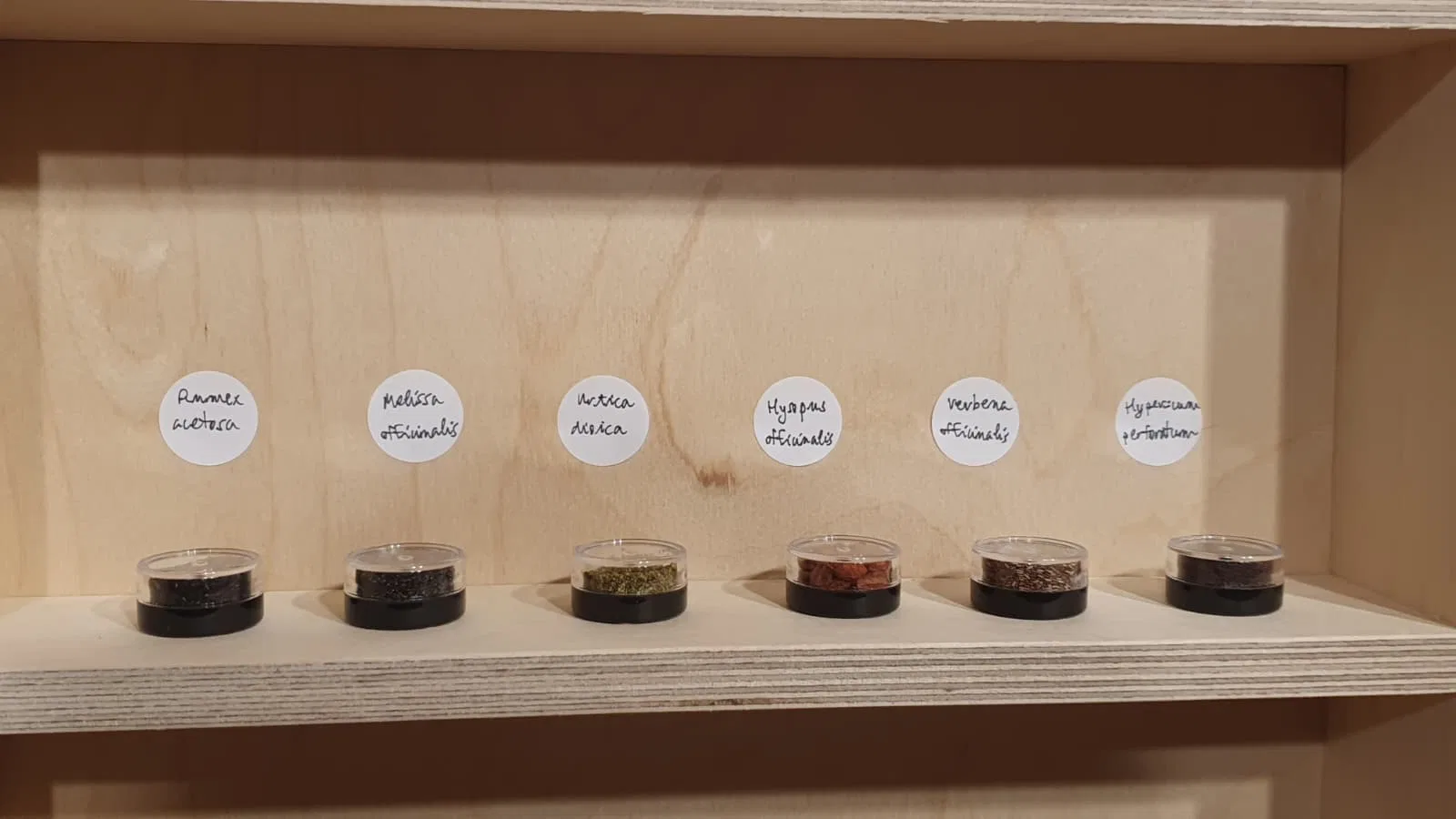 Seed archive and handwritten botanical labels.