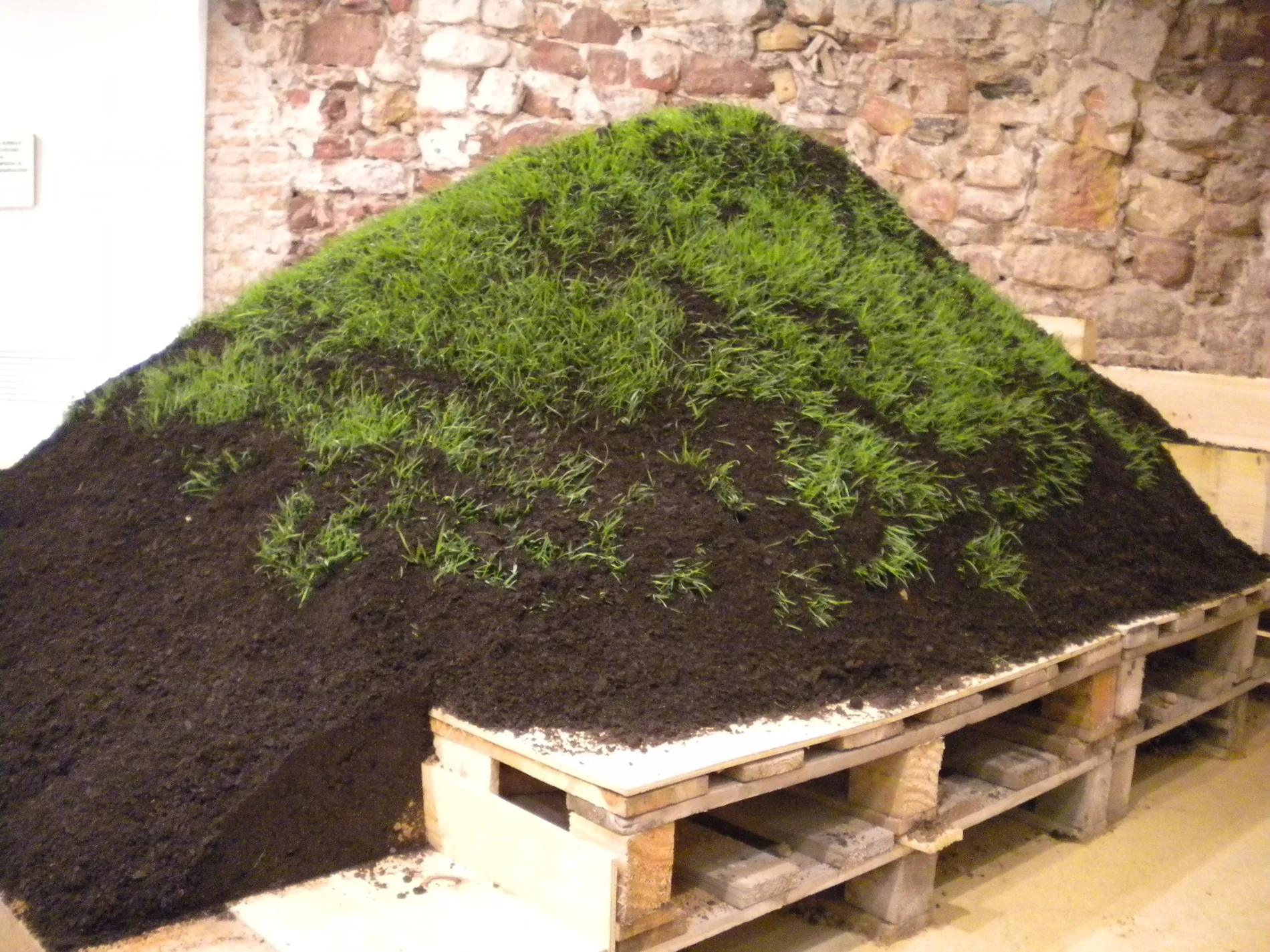 Grass Grows — installation view