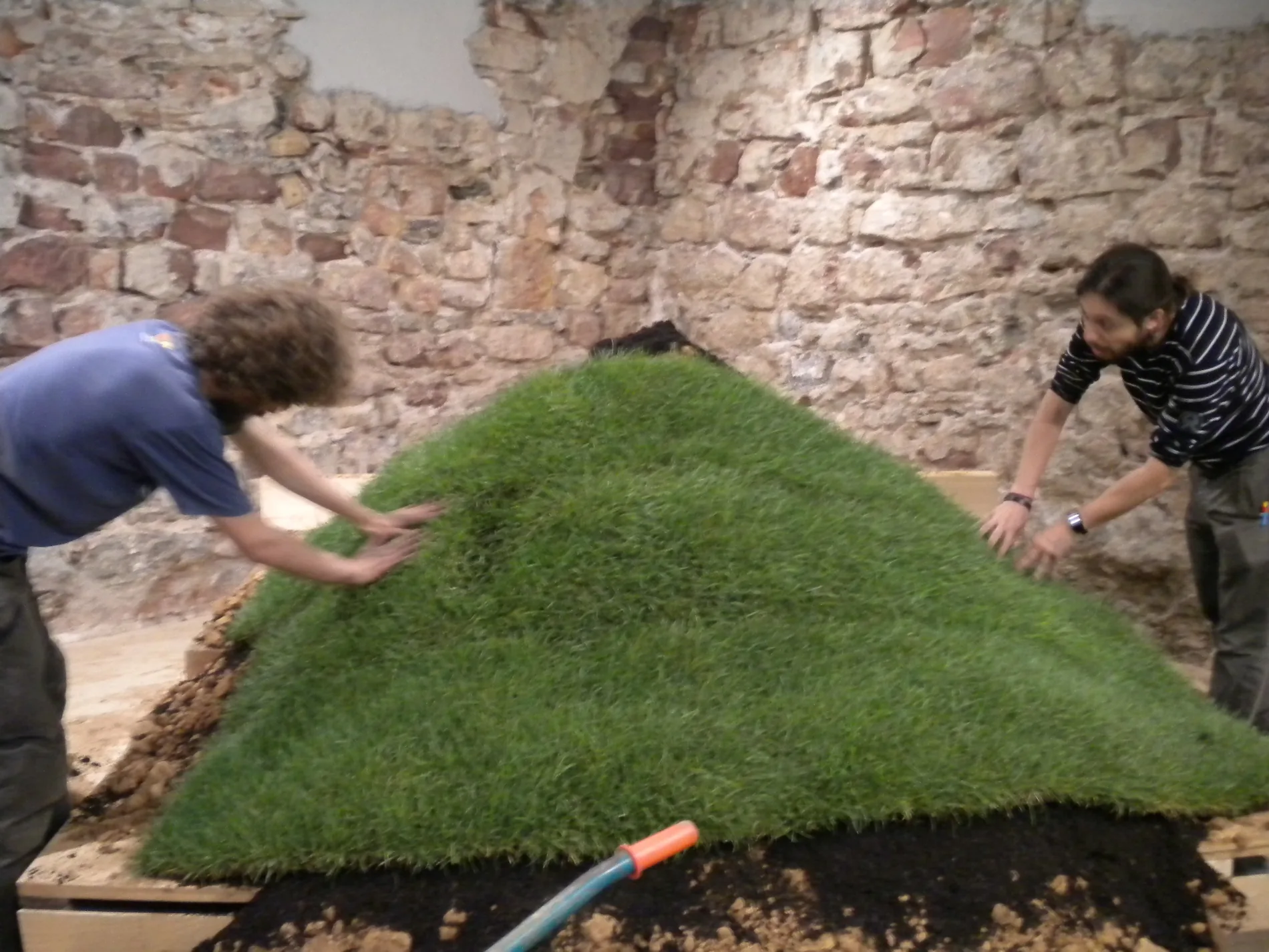 3. Grass sod
