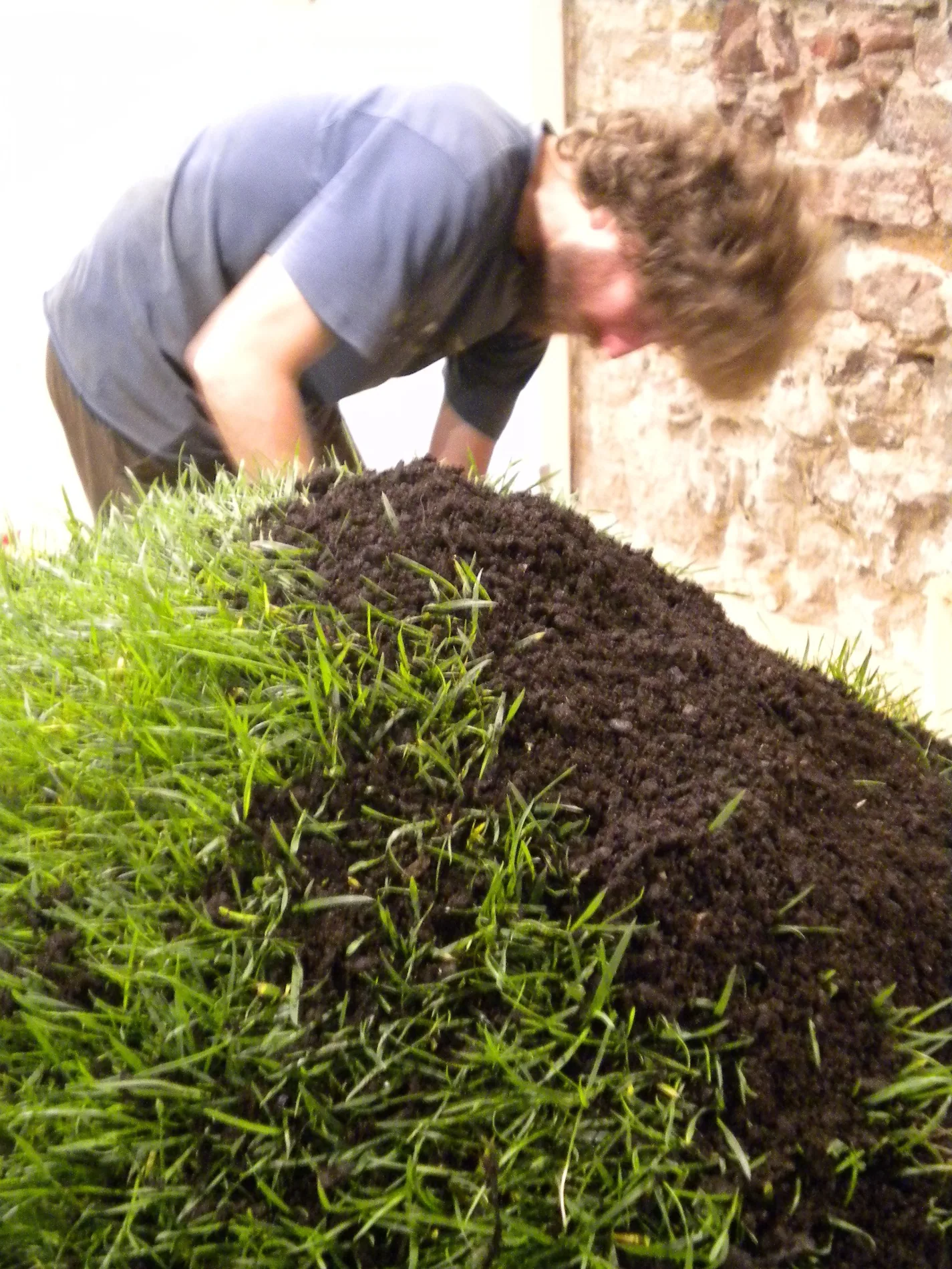 5. Revealing the grass