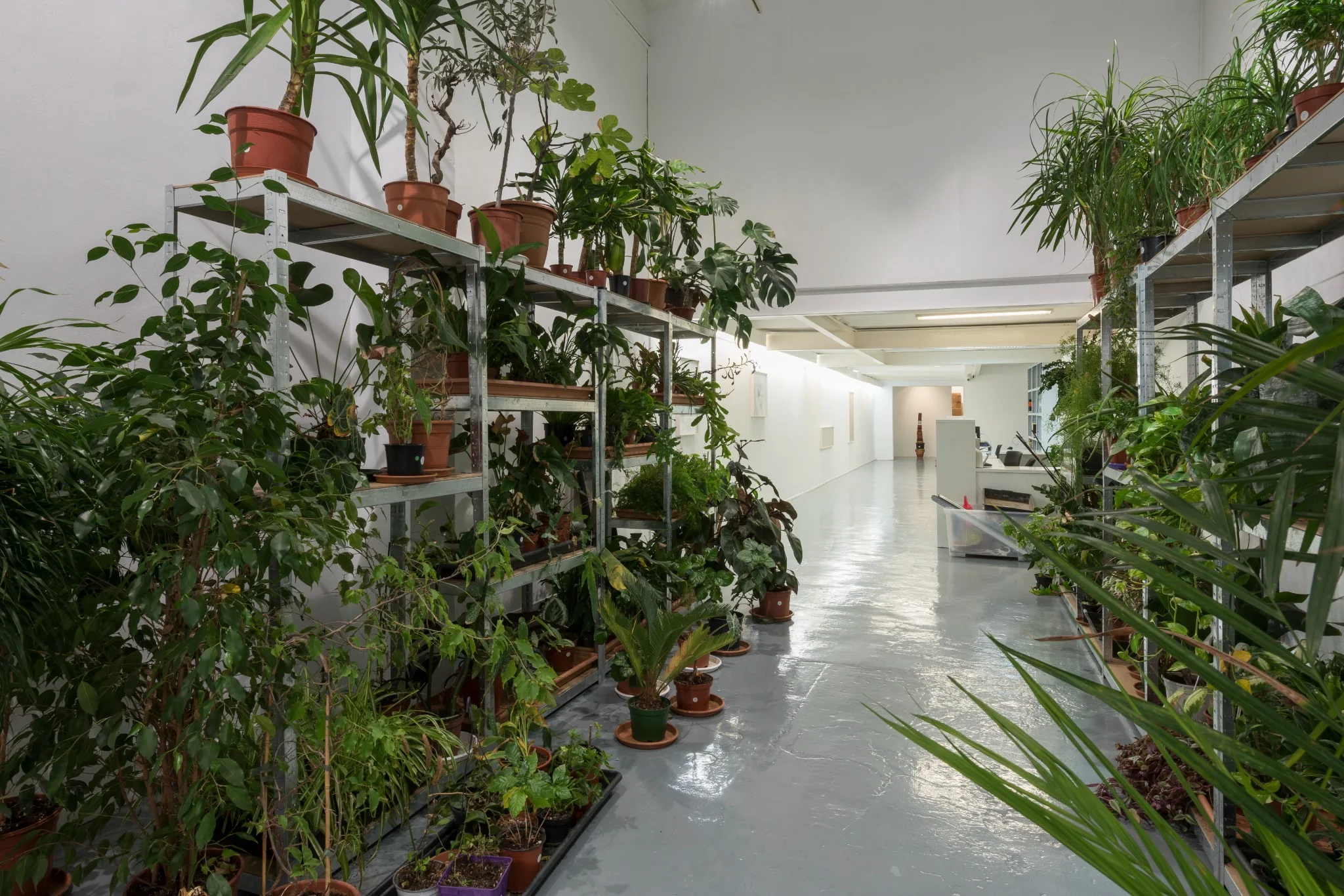 ADN Galeria
