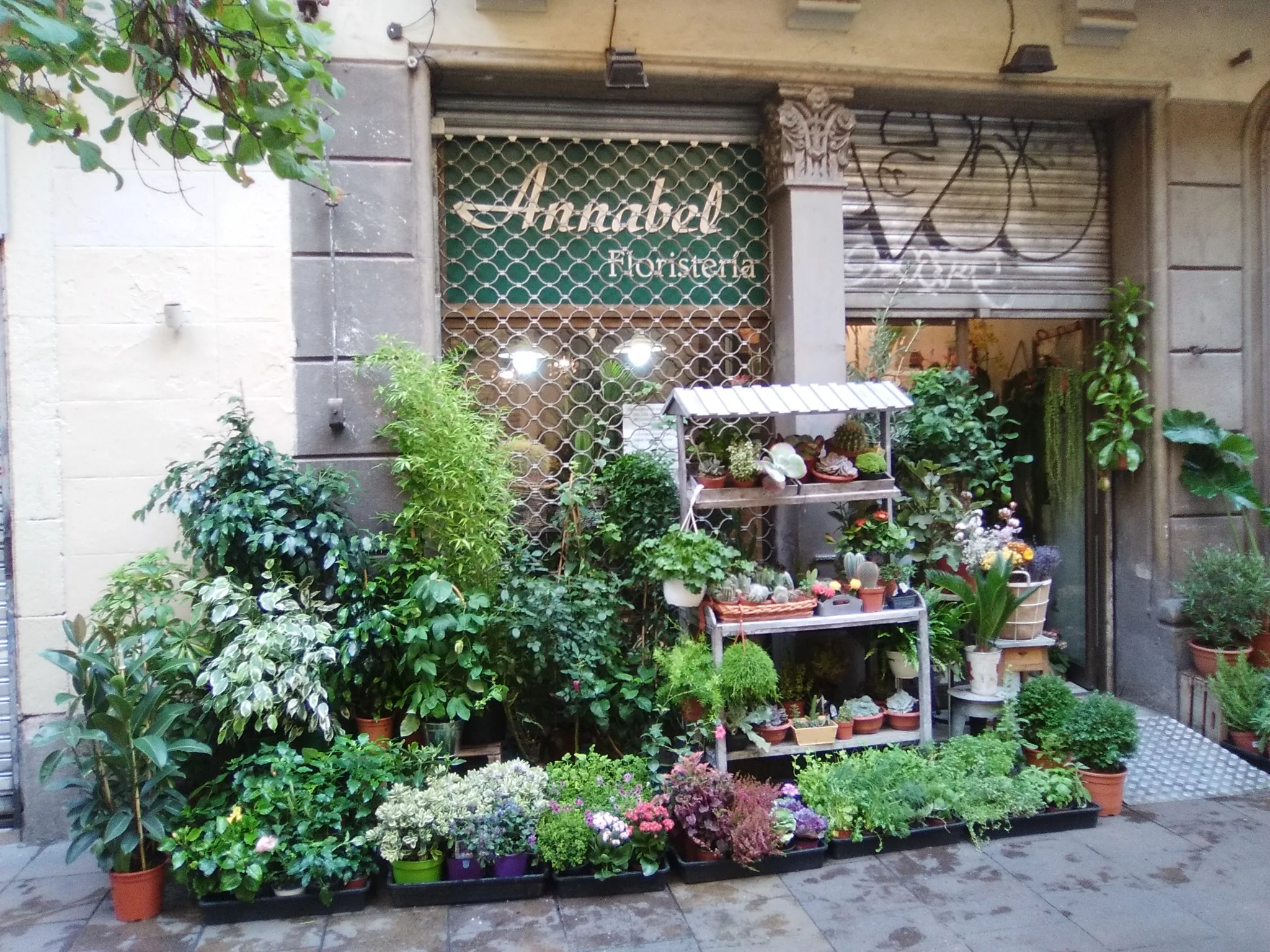 The project begins with the entire stock of a neighborhood flower shop in Barcelona.