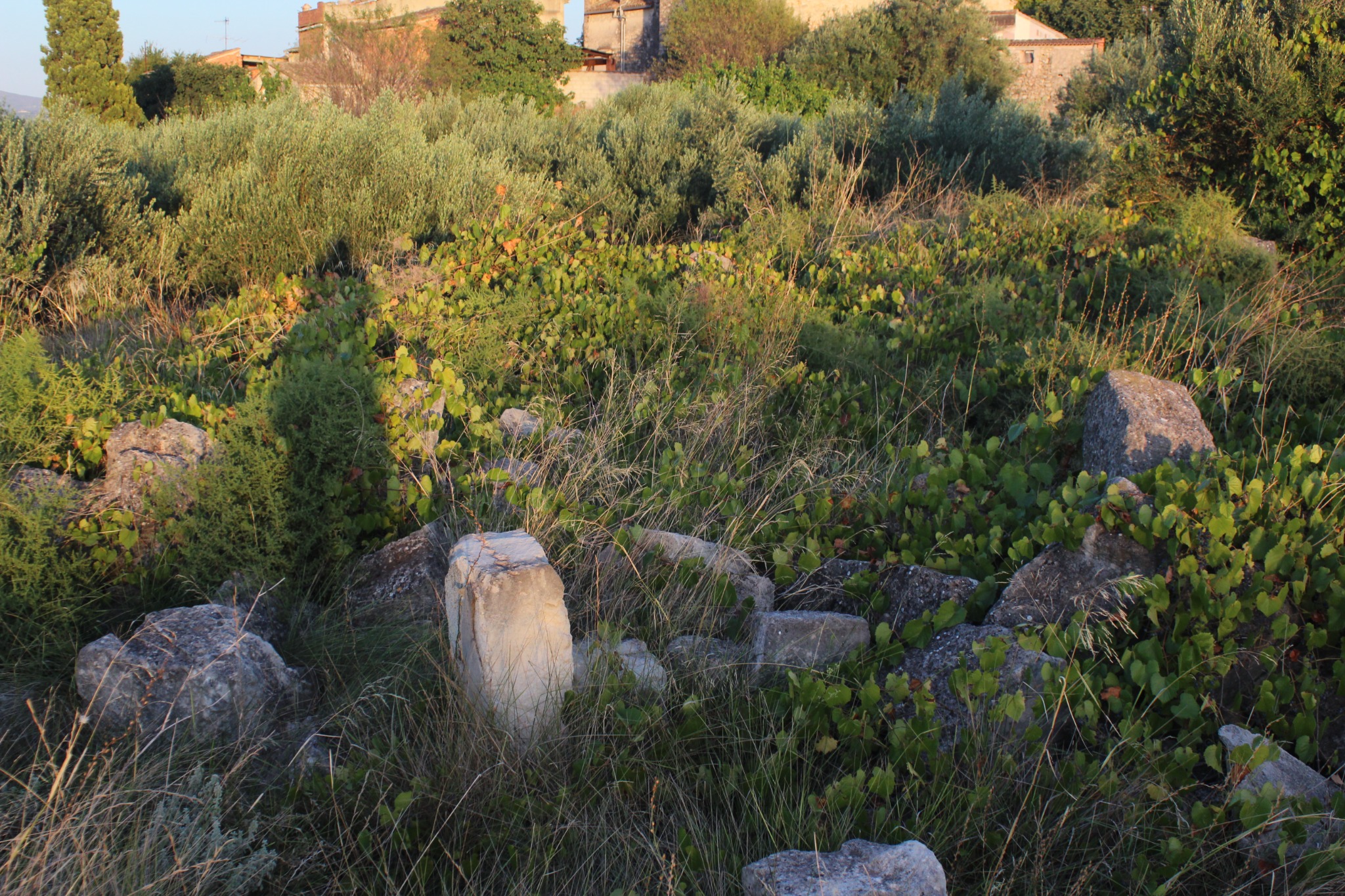 Blocks partially absorbed by vegetation.
