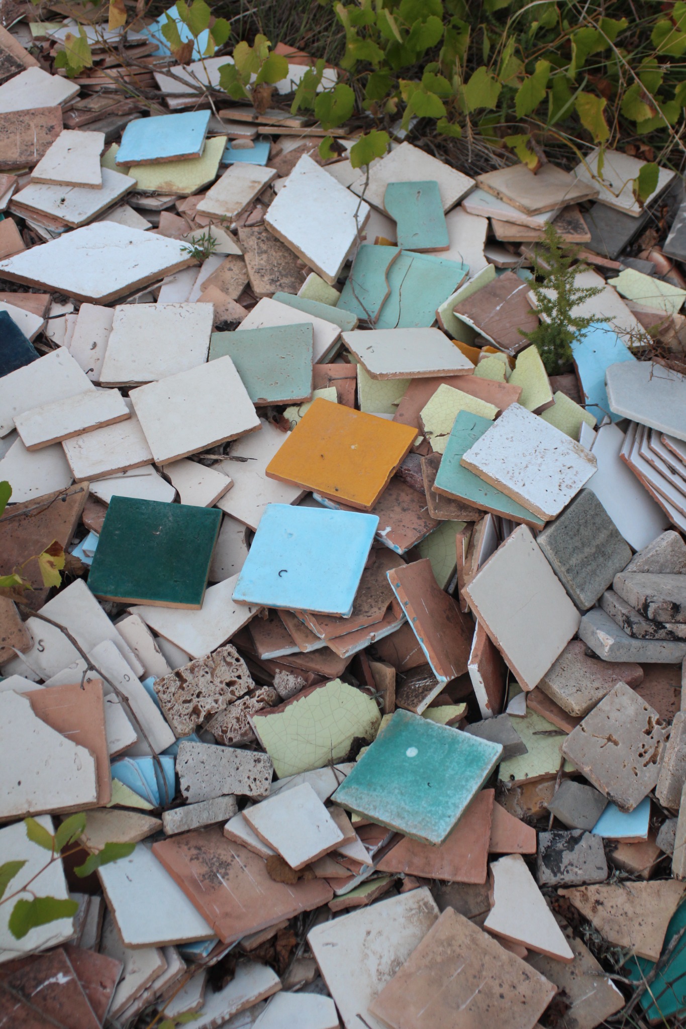 Fragments and tiles before classification.
