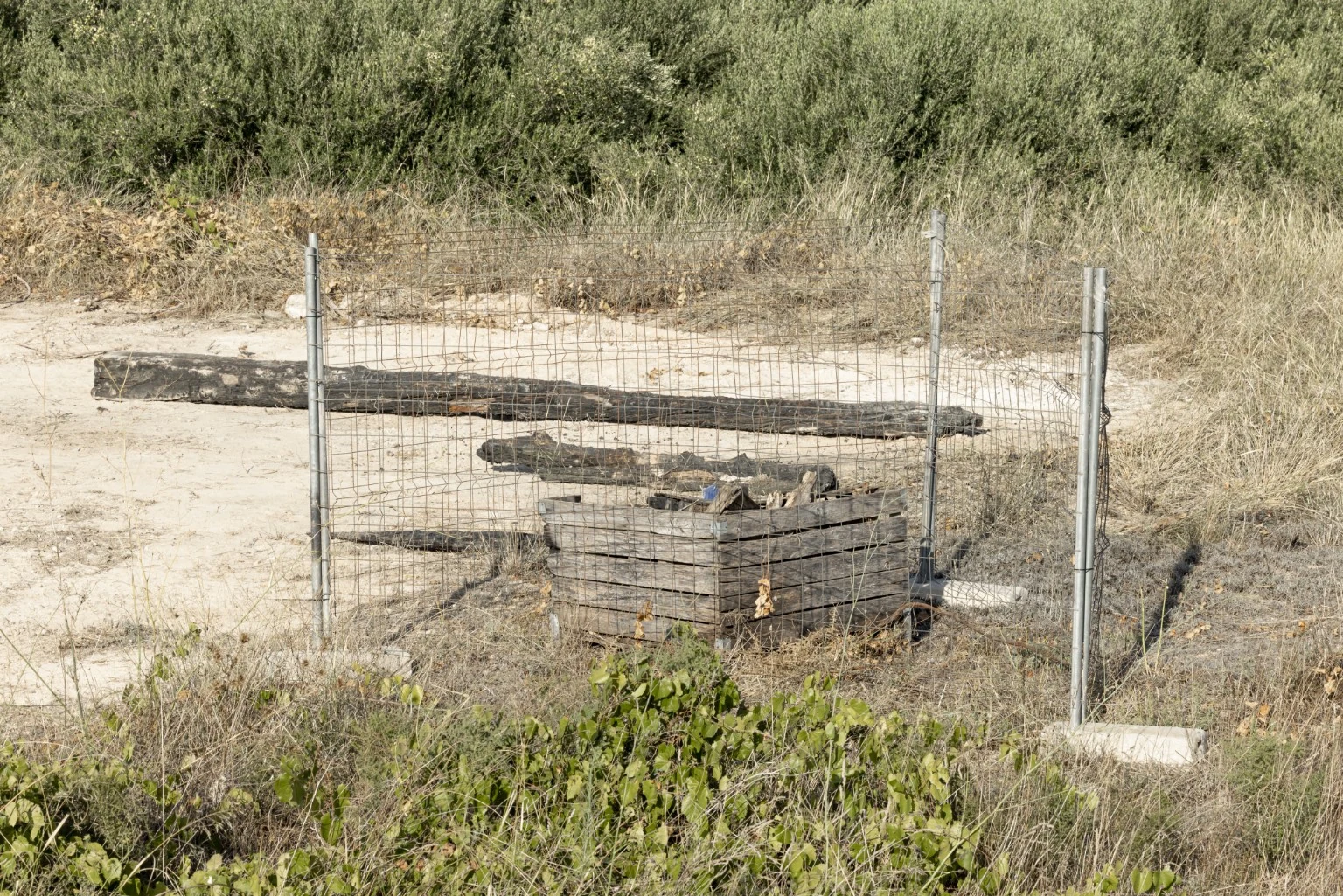 Site before reordering.