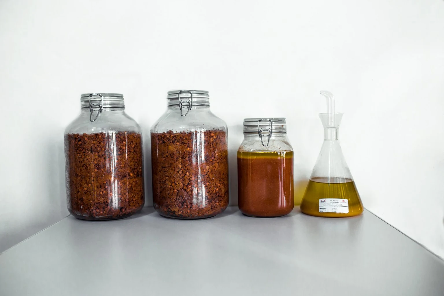 Oil from an Olive Tree