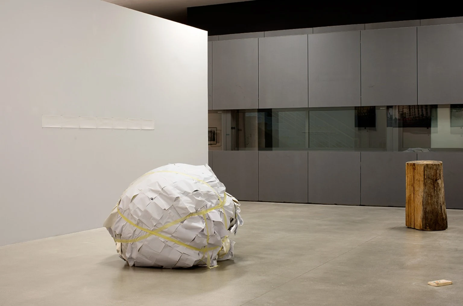 Installation view.
