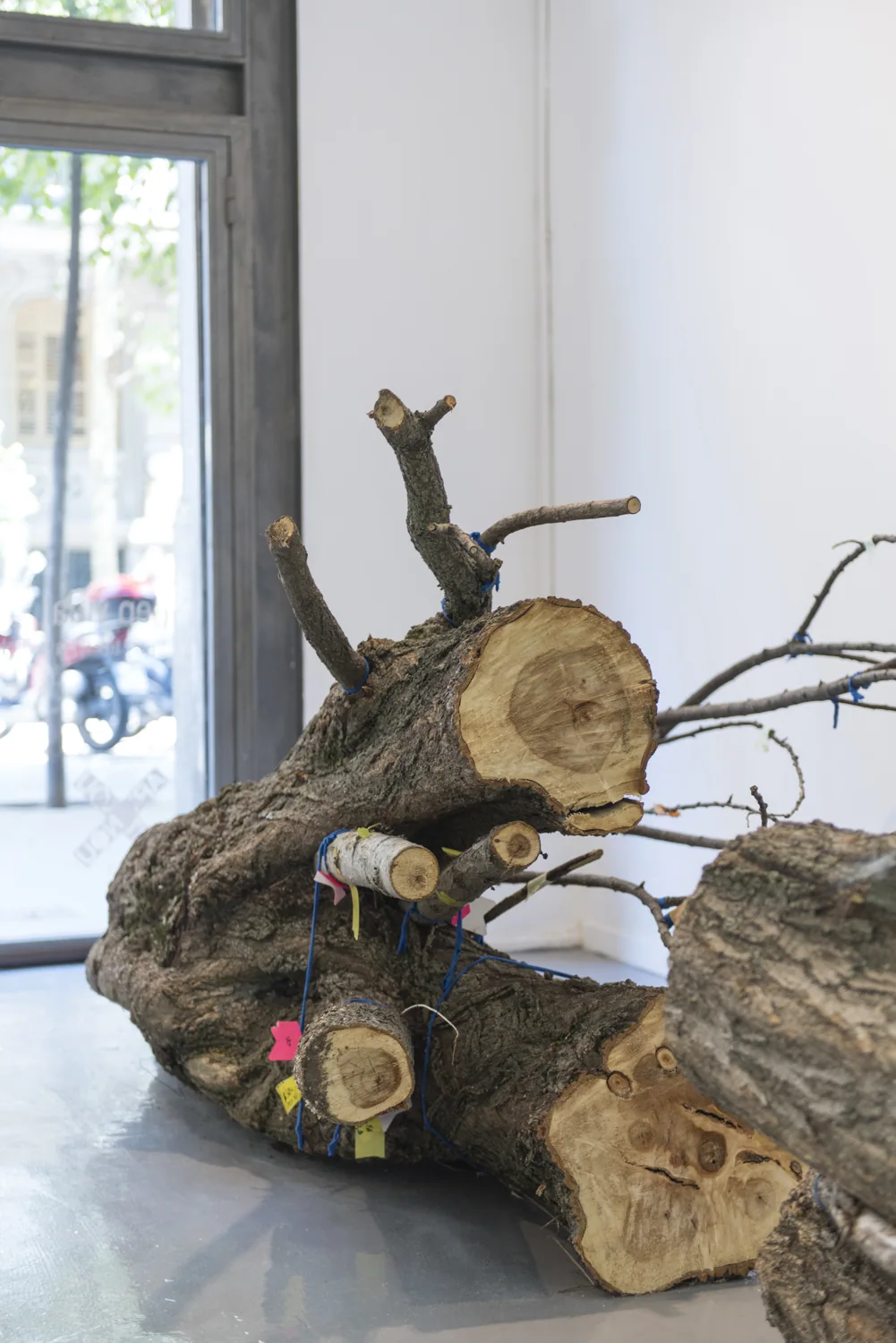 2. ADN Galeria — Seven equal volumes (2015)