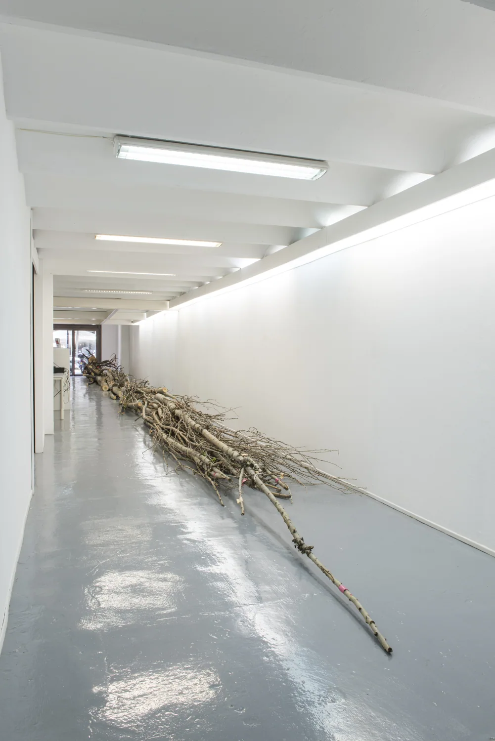 A 19-Metre Tree Divided into 7 Equal Volumes — ADN Galeria