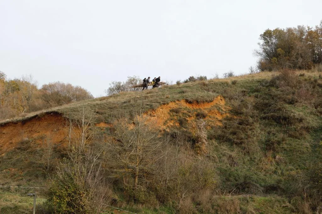 Long view of the tree fragments and landscape at Cerezales