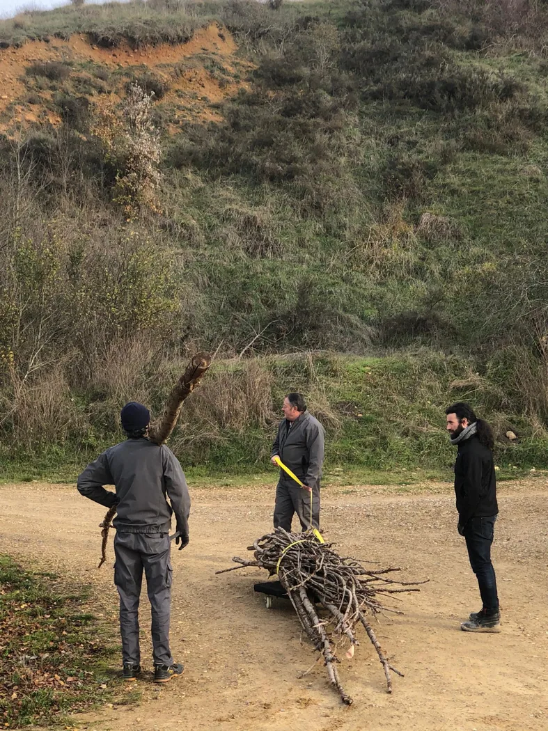 Measuring the fragments of the tree at Cerezales