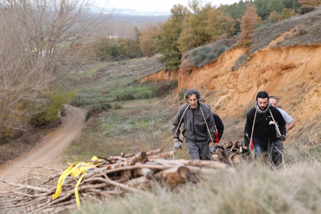 Fragments of the tree in the Cerezales landscape