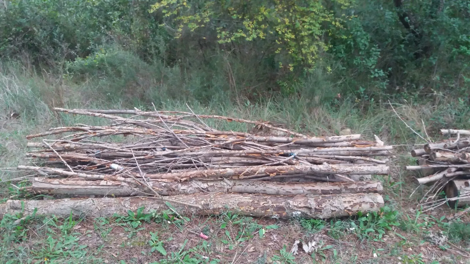 3. La Garrotxa — Back to the landscape (October 2016)