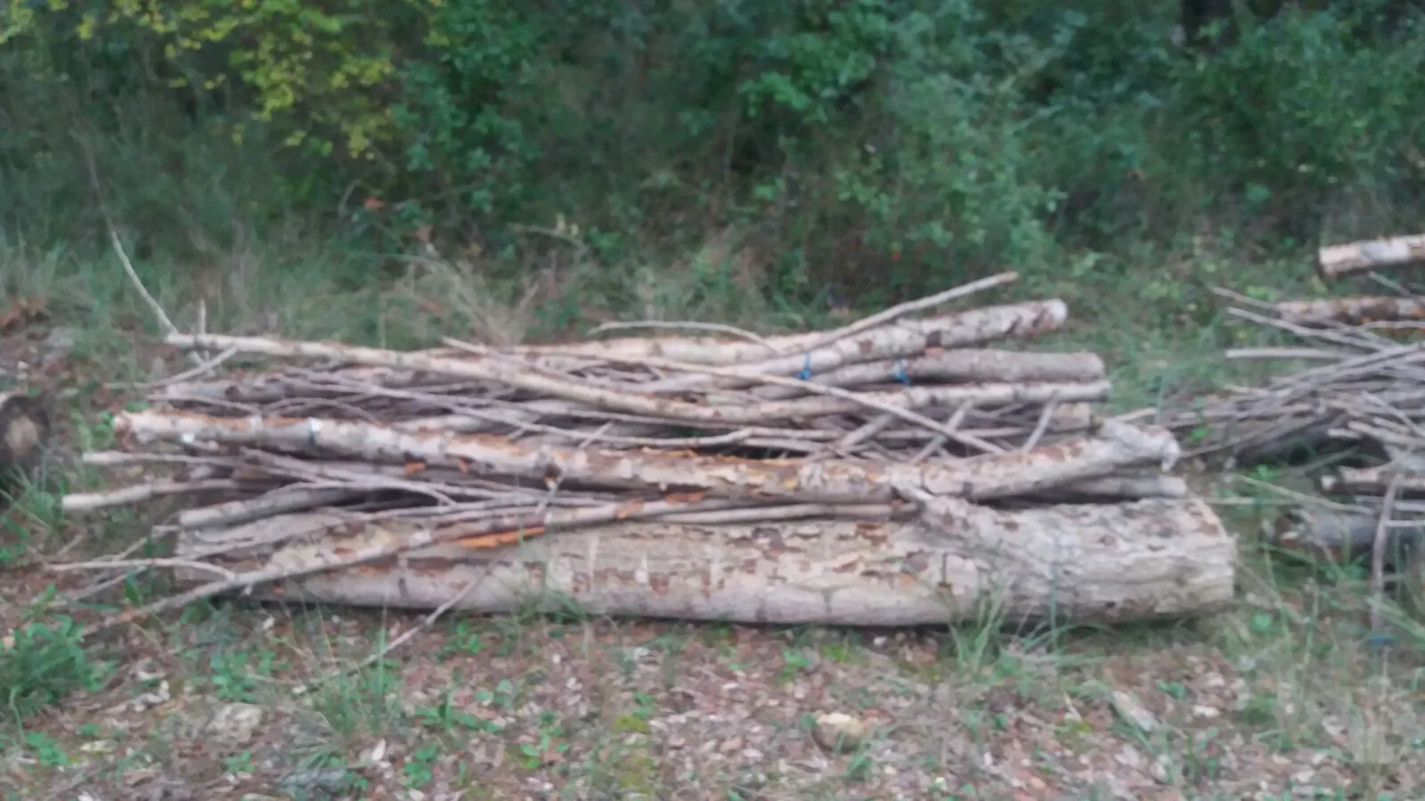 3. La Garrotxa — Back to the landscape (October 2016)