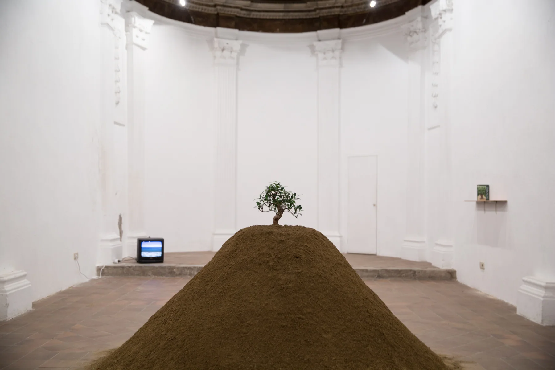 Installation view