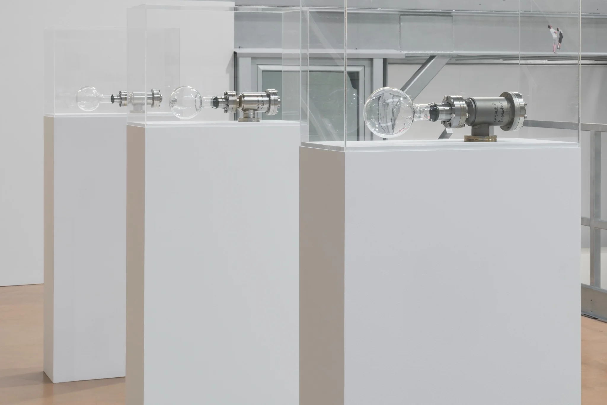 Installation view.